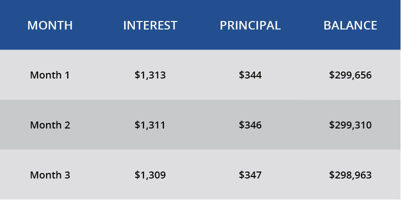 understanding the amortization schedule than merrill
